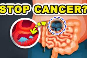 Top 10 Anti-Cancer foods that you need to eat
